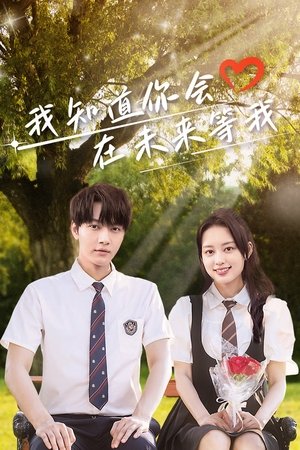 我知道你会在未来等我(全集)